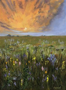 Image description is not available for OBJ-336-001